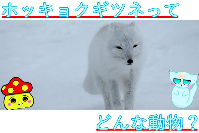 Thumbnail of post image 081